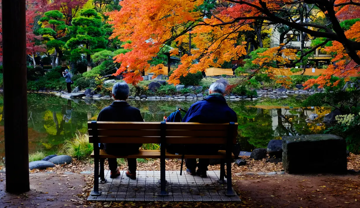 Wisatawan duduk dan mengamati warna-warni dedaunan saat musim gugur di Taman Hibiya, Tokyo Jepang, Selasa (10/12/2019). Pada musim gugur ini dedaunan berubah kekuningan dan kemerahan atau yang juga disebut koyo. (AP Photo/Kiichiro Sato)