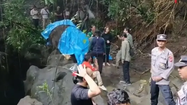 Gajah Molly