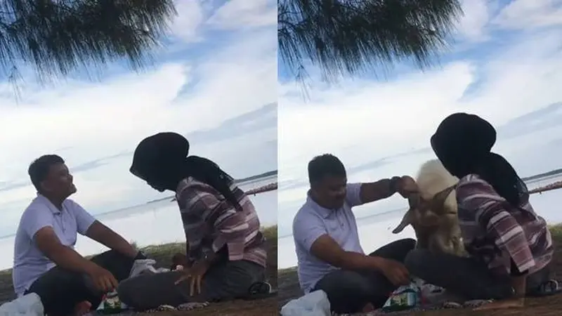 Viral Momen Kocak Pasangan Lagi Piknik di Pantai Ini Malah Diganggu Kambing