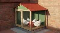 8 Model Kandang Ayam untuk 5 Ekor di Rumah Kecil: Solusi Urban Farming Efisien
