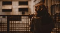 Ilustrasi Pemutusan Hubungan Kerja Credit: pexels.com/MayconMarmo