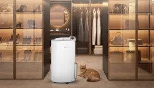 Tips Memilih Dehumidifier untuk Cegah Jamur, Bau Apek, dan Udara Lembap yang Ganggu Kesehatan