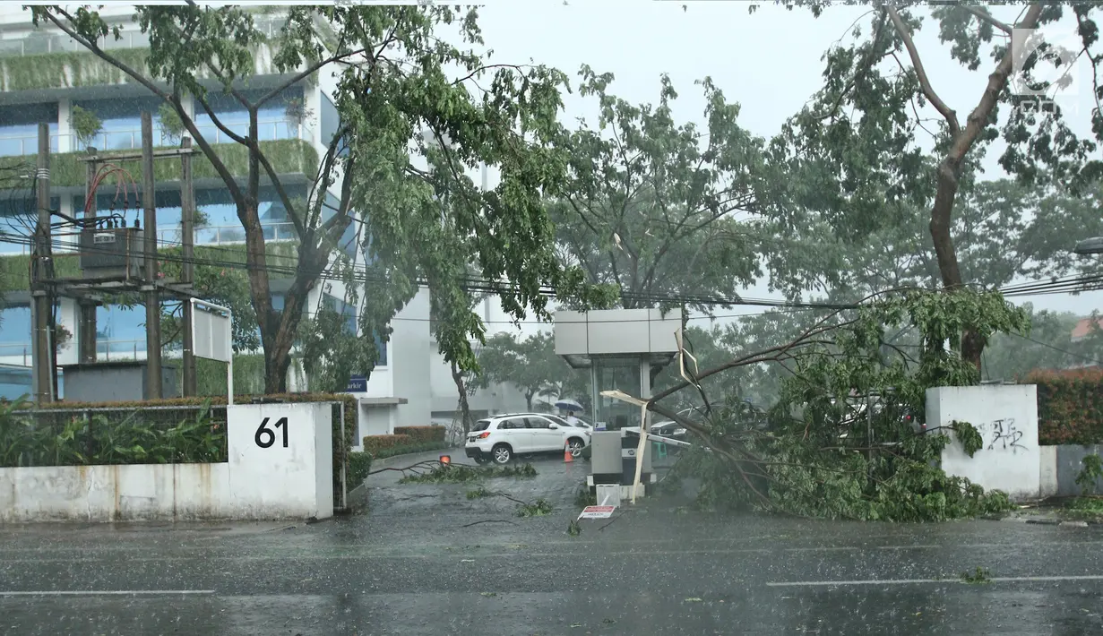 Pohon tumbang terlihat di parkiran Metropole XXI, Cikini, Jakarta Pusat, Minggu (31/12). Hujan deras disertai angin kencang melanda Jakarta jelang malam pergantian tahun hingga membuat beberapa pohon bertumbangan. (Liputan6.com/Herman Zakharia)
