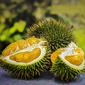 Ilustrasi durian. (dok. pixabay.com/Asnida Riani)
