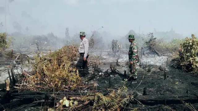 633 Hektare Lahan di Riau Jadi Arang Hanya dalam 2 Bulan