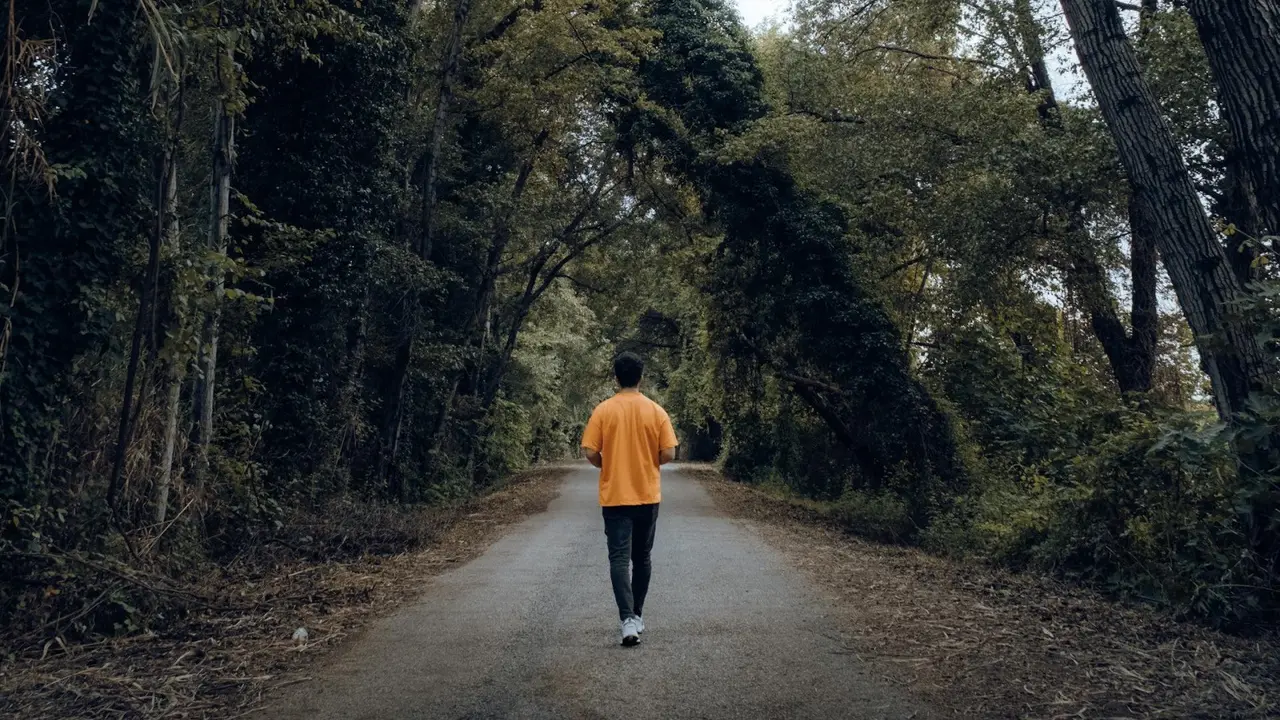 Manfaat Jalan Kaki Sederhana untuk Kesehatan, Waktu Terbaik Jalan Kaki yang Harus Anda Pahami