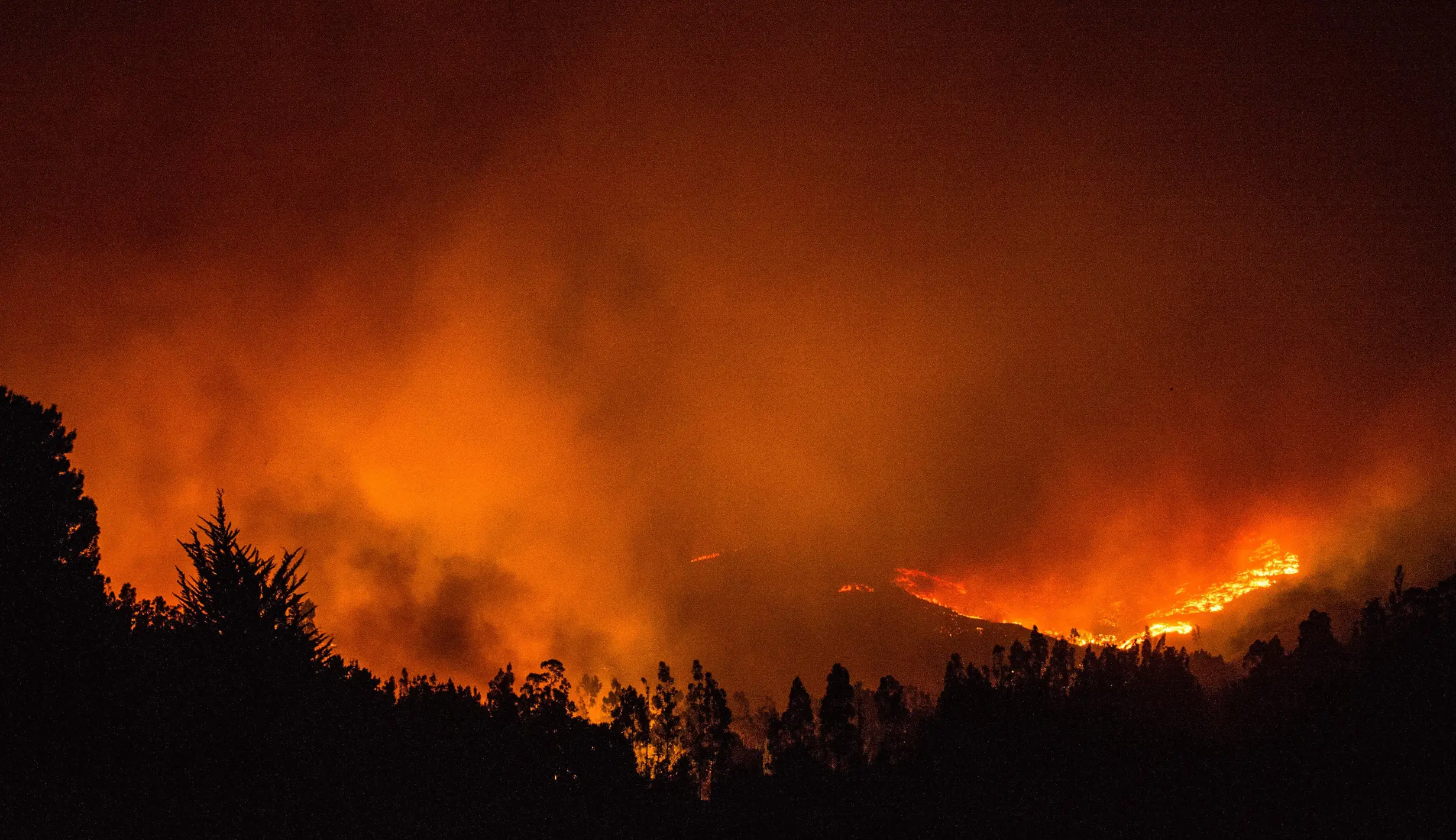 Begini Penampakan Kebakaran Hutan Terbesar di Chile - Foto Liputan6.com