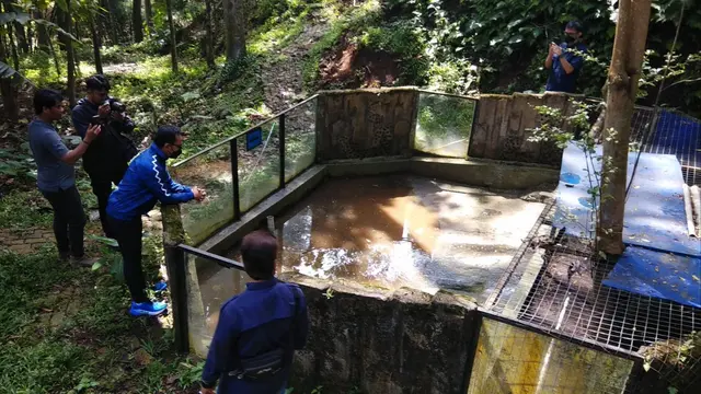 BKSDA Bakal Evakuasi Satwa Dilindungi Koleksi Mini Zoo Bogor