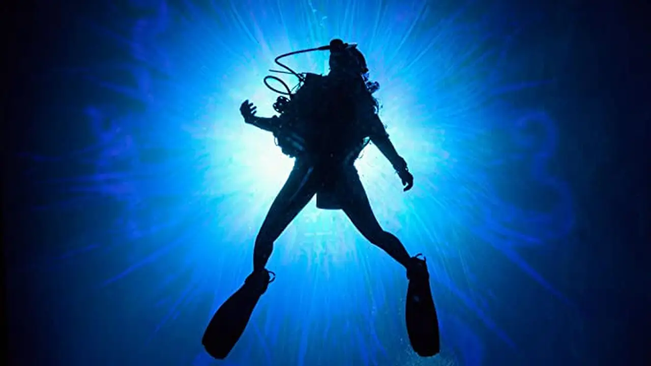 Poster film Sea Fever. (Foto: Fantastic Films/ IMDB)