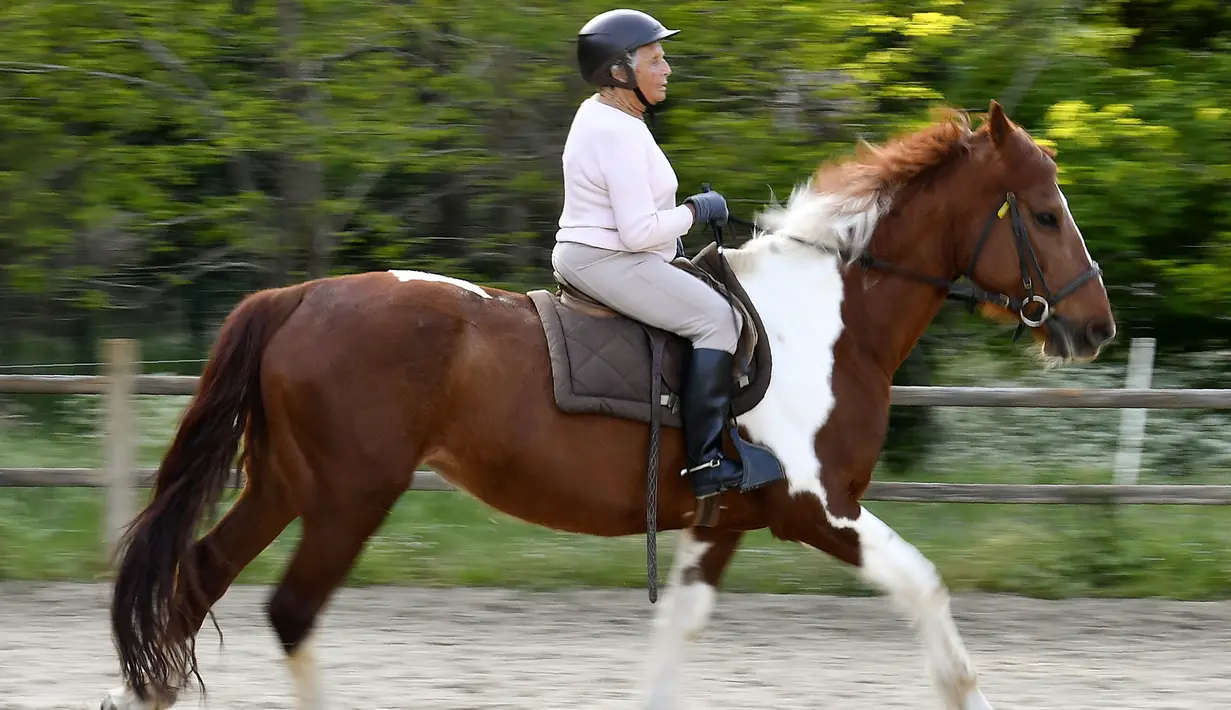 Nicole de Villeneuve (89)menunggangi kuda selama sesi pelatihan stabil berkuda di Arcachon, Prancis (24/4). Setelah berhenti berkuda selama 30 tahun, Nicole de Villeneuve baru saja memenangkan pertunjukan kuda pertamanya. (AFP Photo/Georges Gobet)