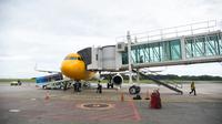 Scoot Airlines melakukan penerbangan perdananya dengan rute Balikpapan-Singapura pada Jumat (27/1/2023) sore.