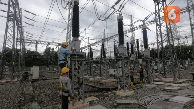 PLN