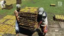 Pekerja mengangkat kerupuk mie kuning yang telah dijemur di Karadenan, Bogor (22/05). Kerupuk mie kuning ini biasanya disajikan dengan sambal kacang dan pecel sayur. (Merdeka.com/Arie Basuki)