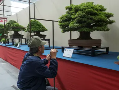 Pengunjung melihat bonsai yang ditampilkan saat Konvensi Bonsai Dunia ke-8 di Saitama, Tokyo, Jepang, Sabtu (29/4). Konvensi Dunia Bonsai telah kembali ke Jepang untuk pertama kalinya dalam 28 tahun. (AFP PHOTO / Kazuhiro NOGI)