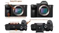 Bocoran spesifikasi Sony A7c. Dok: sonyalpharumors.com