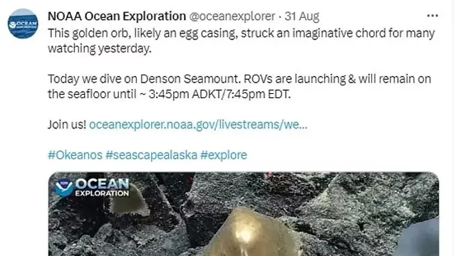 NOAA umumkan penemuan objek misterius yang menyerupai telur emas di dasar laut Alaska
