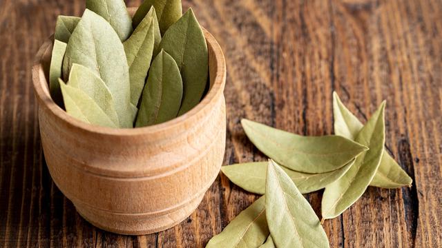 Ilustrasi daun, bahan lunak alam