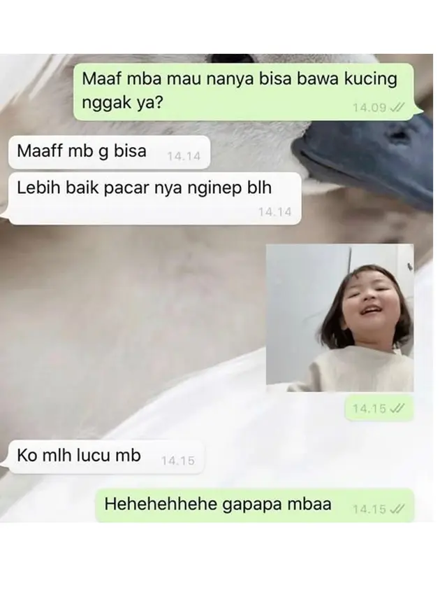 5 Chat Balasan saat Cari Kos Ini Nyeleneh Banget, Bikin Tepuk Jidat