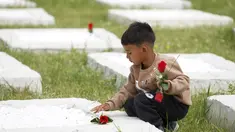 Seorang anak laki-laki meletakkan bunga di atas kuburan di pemakaman di desa Kato Tritos di pulau Lesbos, Laut Aegea timur laut, Yunani, Rabu (17/4/2024). (AP Photo/Panagiotis Balaskas)
