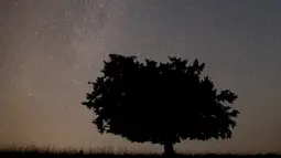 Meteor jatuh melintasi langit di atas Gunung Smetovi, Zenica, Bosnia dan Herzegovina, Rabu (12/8/2015). Menurut NASA, Hujan meteor Perseid mencapai puncaknya pada tanggal 12-13 Agustus di Eropa. (REUTERS/Dado Ruvic)