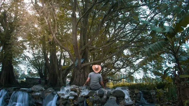 [Bintang] Jawa Tengah