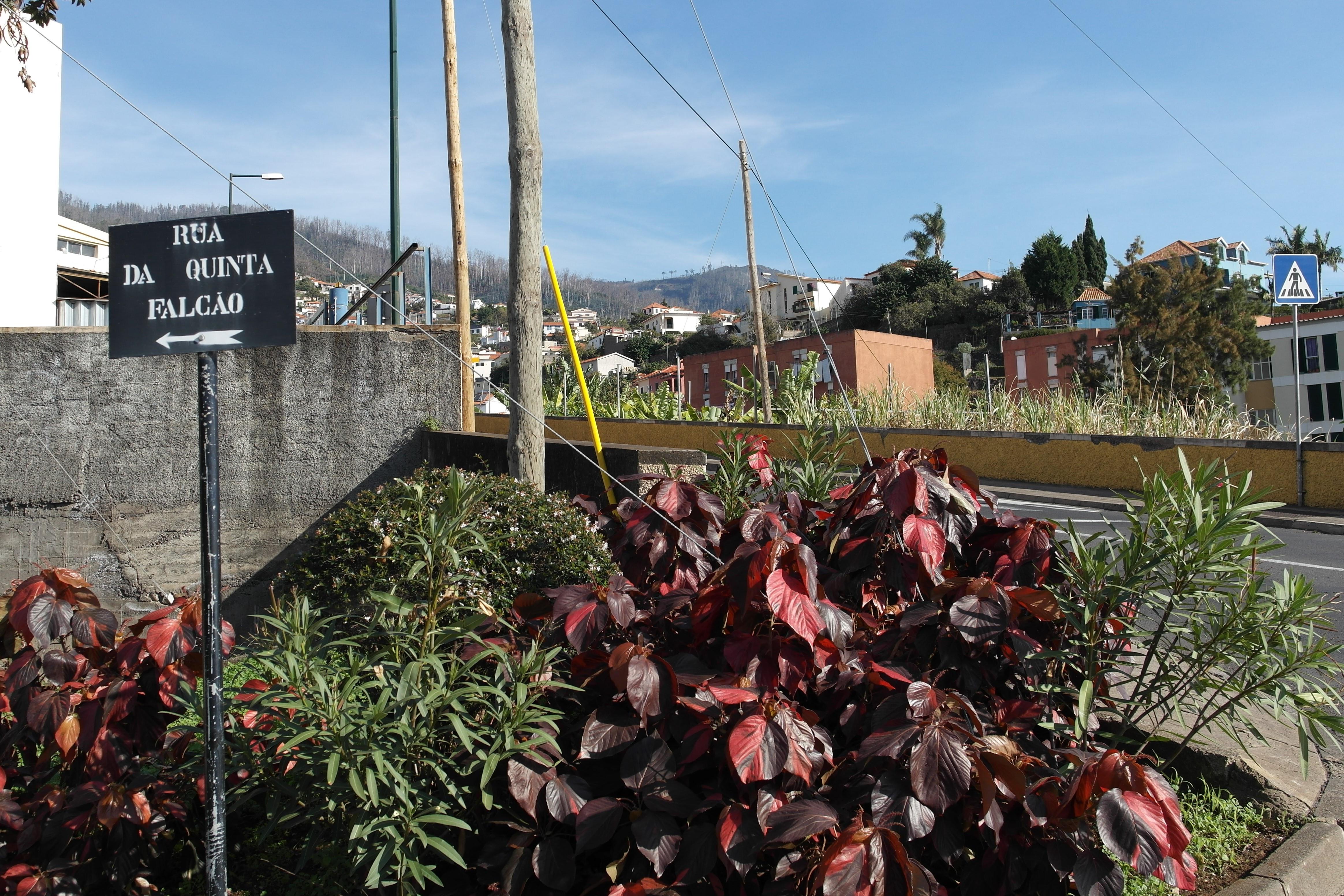 Salah satu sudut di jalan Rua Quanta Falcao yang menjadi tempat Ronaldo kecil bermain. (Bola.com/Reza Khomaini)