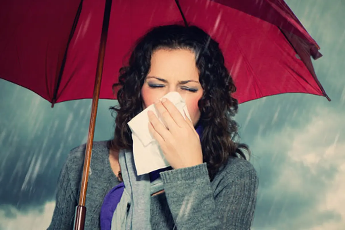 Foto: Shutterstock