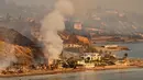 Dalam foto yang diambil dari helikopter ini, memperlihatkan kondisi rumah-rumah terbakar di Pacific Coast Highway saat kebakaran Palisades di Malibu, California, pada tanggal 9 Januari 2025. (JOSH EDELSON/AFP)