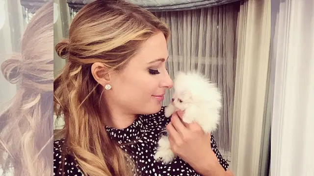 Paris Hilton punya anak anjing jenis pomeranian
