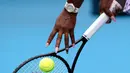 Petenis AS, Serena Williams bersiap melakukan servis ke arah Anastasia Potapova dari Rusia pada babak pertama Australia Terbuka 2020 di Melbourne, Senin (20/1/2020). Serena memamerkan cat kukunya bertema koala sebagai bentuk keprihatinan atas kebakaran hutan dan lahan di Australia. (AP/Lee Jin-man)