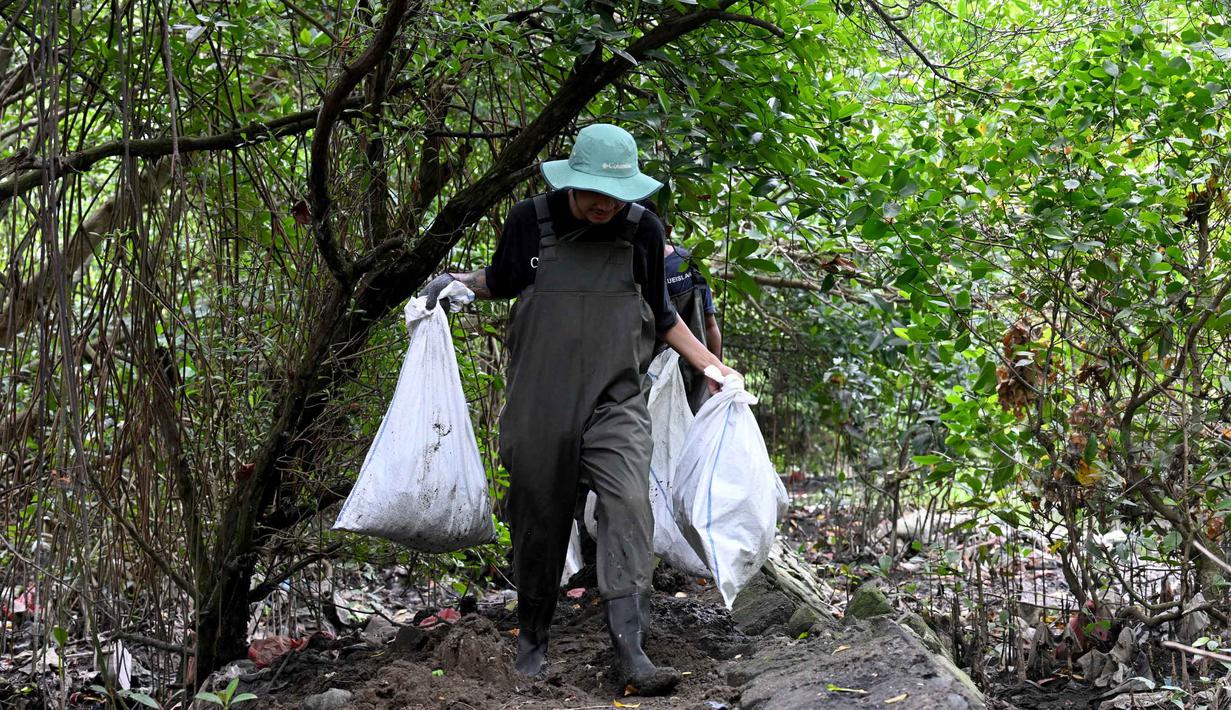 Ini berbahaya karena area bakau adalah nursery ground (tempat pembiakan) bagi ikan dan kepiting yang nantinya akan dikonsumsi. Tampak dalam foto, warga membersihkan sampah plastik di area hutan bakau sebagai bagian dari kampanye kebersihan di Desa Serangan, Denpasar, Bali, pada Rabu 15 April 2026. (SONNY TUMBELAKA/AFP)