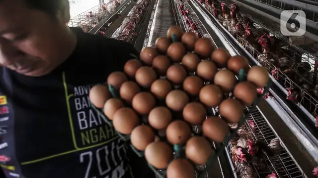 FOTO: Harga Telur Ayam Pacu Laju Inflasi