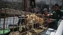 Pasar ekstrem Tomohon akan menjadi pasar pertama di Indonesia yang bebas dari daging anjing dan kucing, menurut kelompok anti-kekejaman terhadap hewan, atau HSI. (AP Photo/Mohammad Taufan)