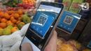Pelaku usana menggunakan QR Code pada aplikasi Youtap di Pasar Segar Bintaro Tangsel (9/3/2022). Melalui mitra usaha, Youtap memberikan solusi digital yang end-to-end untuk pelaku usaha, sejak memulai usaha hingga menjalankan promosi dan pemasaran. (Liputan6.com/HO/Ading)