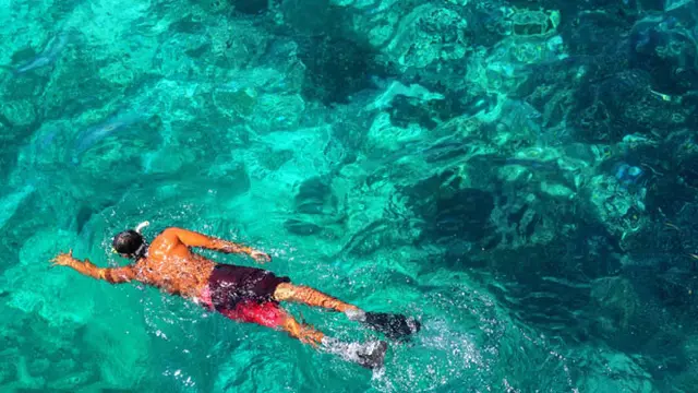 Ilustrasi Snorkeling