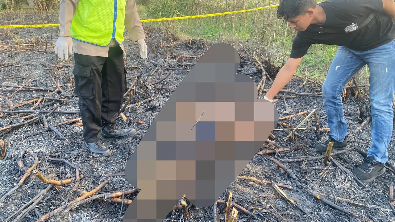 Petani di Pati Tewas Terbakar Hidup hidup saat Membakar Daun Tebu di Sawah