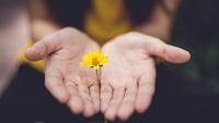 35 Quotes About Helping Others That Inspire Acts of Kindness