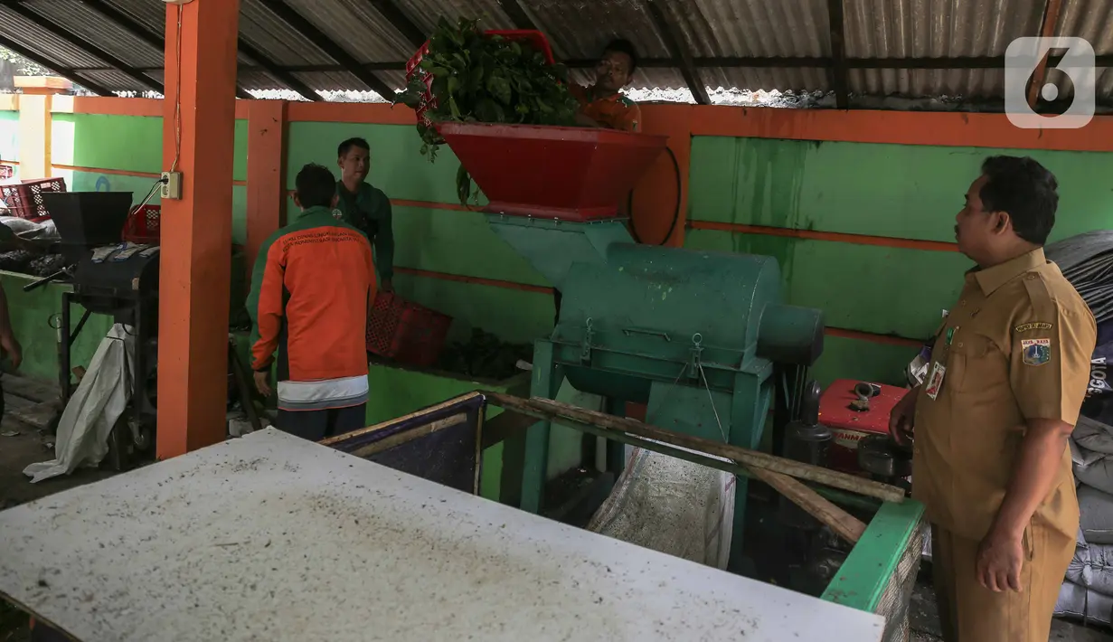 Petugas Sudin Lingkungan Hidup Jakarta Pusat melakukan pengolahan sampah daun di TPS 3R Ketapang Satpel Lingkungan Hidup Kecamatan Gambir, Jakarta, Rabu (22/2/2023). TPS 3R Ketapang Satpel Lingkungan Hidup Kecamatan Gambir itu dapat mereduksi atau mengurai sampah organik menjadi kompos sebanyak 200-300 kilogram per hari. (Liputan6.com/Faizal Fanani)
