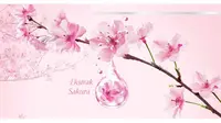 Para blogger menemukan keajaiban Ekstrak Sakura di Garnier Sakura White.