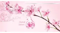 Menemukan Rahasia Keajaiban Sakura