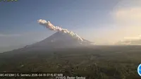 Seismogram Rekam Erupsi Semeru Selama 4 menit 31 detik