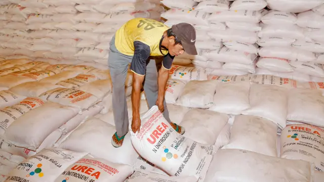 Pekerja melakukan bongkar muat pupuk bersubsidi di Gudang Pupuk Lini III Sumur Pecung, Kota Serang, Banten (Liputan6.com/HO)