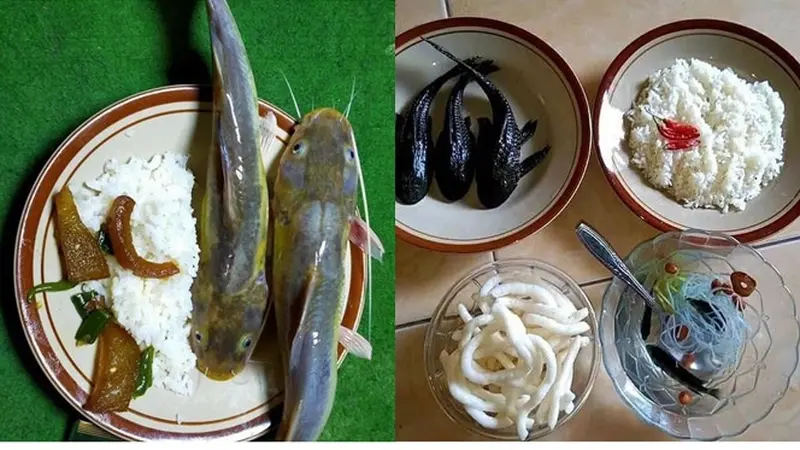 6 Potret Makan Ikan Mentah Ini Bikin Enggak Habis Pikir