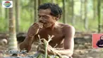 Bagi warga Papua, kegemaran mengunyah pinang, tidak hanya membuat gigi menjadi kuat, ternyata juga bisa membuat ketagihan.