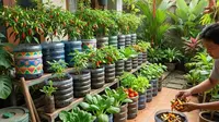 TOP 3: Ide Kebun Cabai Hemat Biaya hingga Desain Kandang Ayam Rumahan