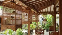 Tips Tata Letak Kandang Burung di Teras Rumah Agar Rapi, Nyaman, dan Enak Dipandang
