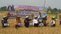 Menteri Pertanian Amran Sulaiman membuka panen raya di Desa Siraman, Kecamatan Kesamben, Kabupaten Blitar, Jawa Timur Selasa (29/9/2015). (Foto: Achmad Dwi/Liputan6.com)