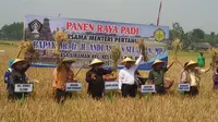 Mentan Amran Ingin Produksi Padi Jatim Naik di Atas 3 Kali Lipat