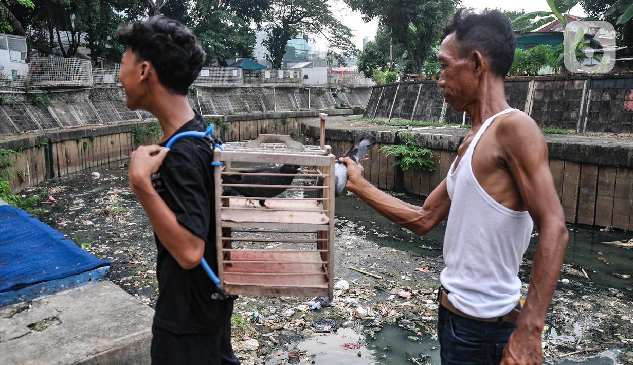Seperti diketahui, saat ini luas ruang terbuka hijau di Jakarta mencakup 5,18 persen dari luas wilayah secara keseluruhan.  (merdeka.com/Iqbal S. Nugroho)