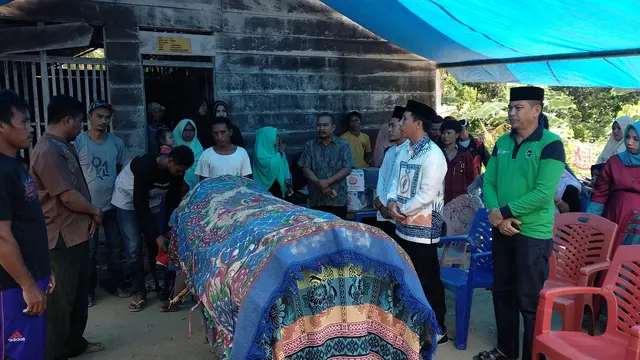 Petir